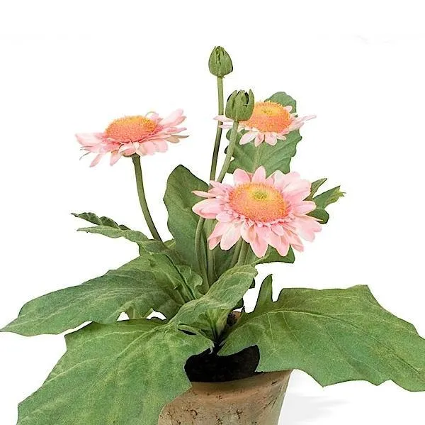 Gerbera Daisy 8"H