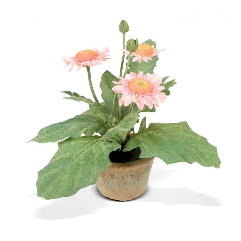 Gerbera Daisy 8"H