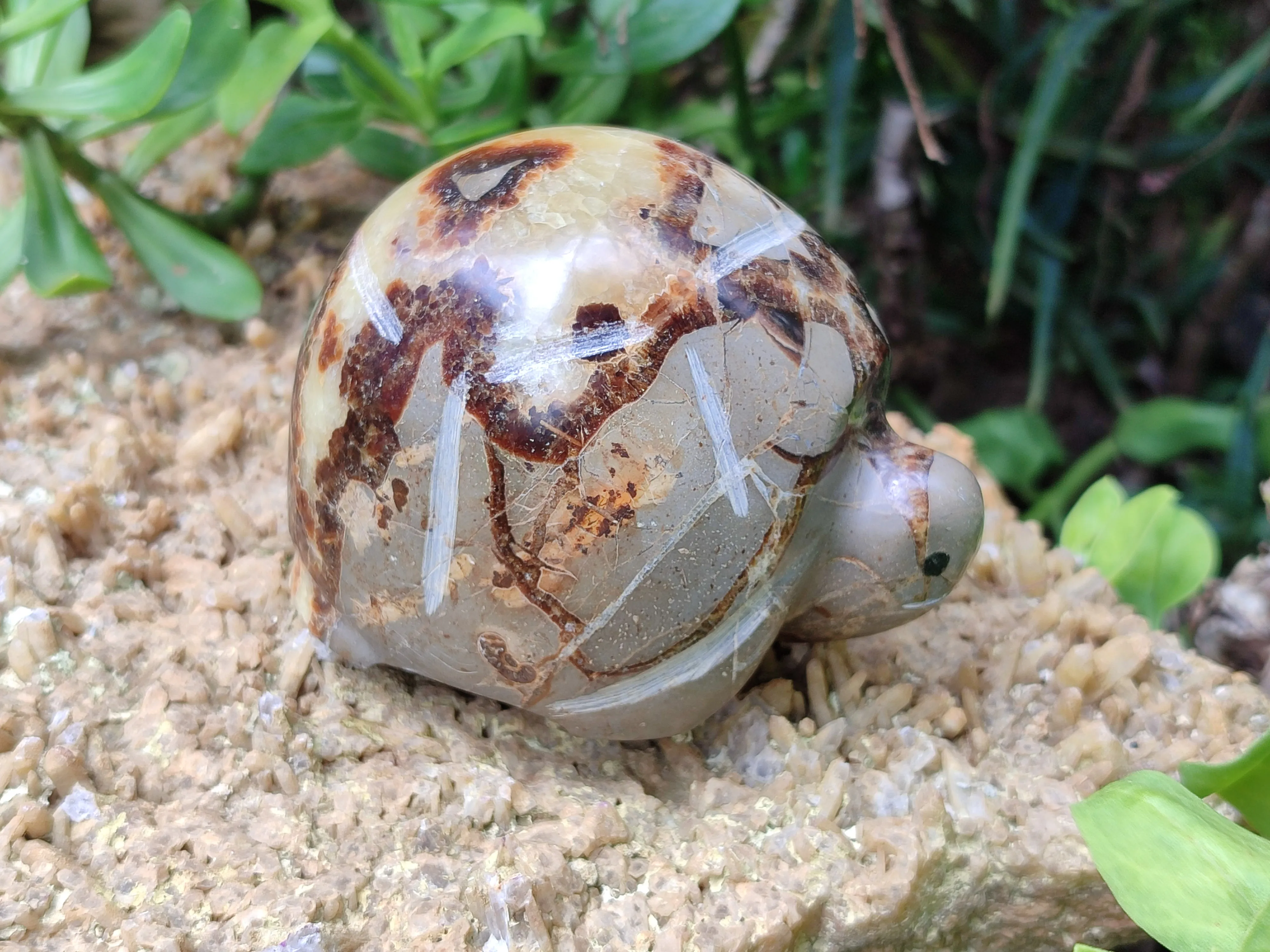 Hand Made Septerye Tortoise Carvings x 4 From Madagascar