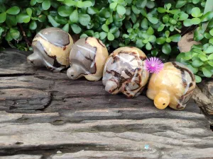 Hand Made Septerye Tortoise Carvings x 4 From Madagascar