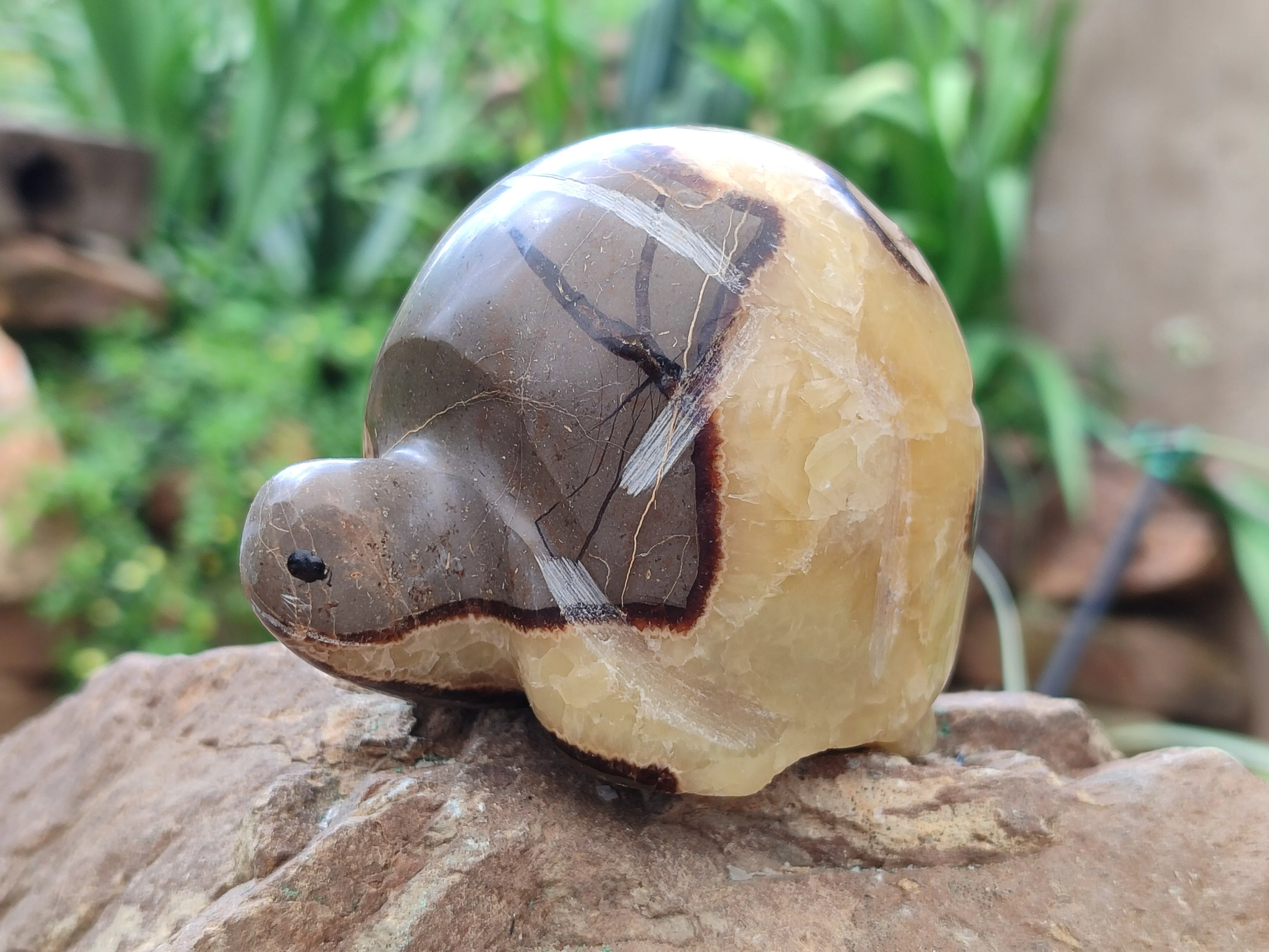 Hand Made Septerye Tortoise Carvings x 4 From Madagascar