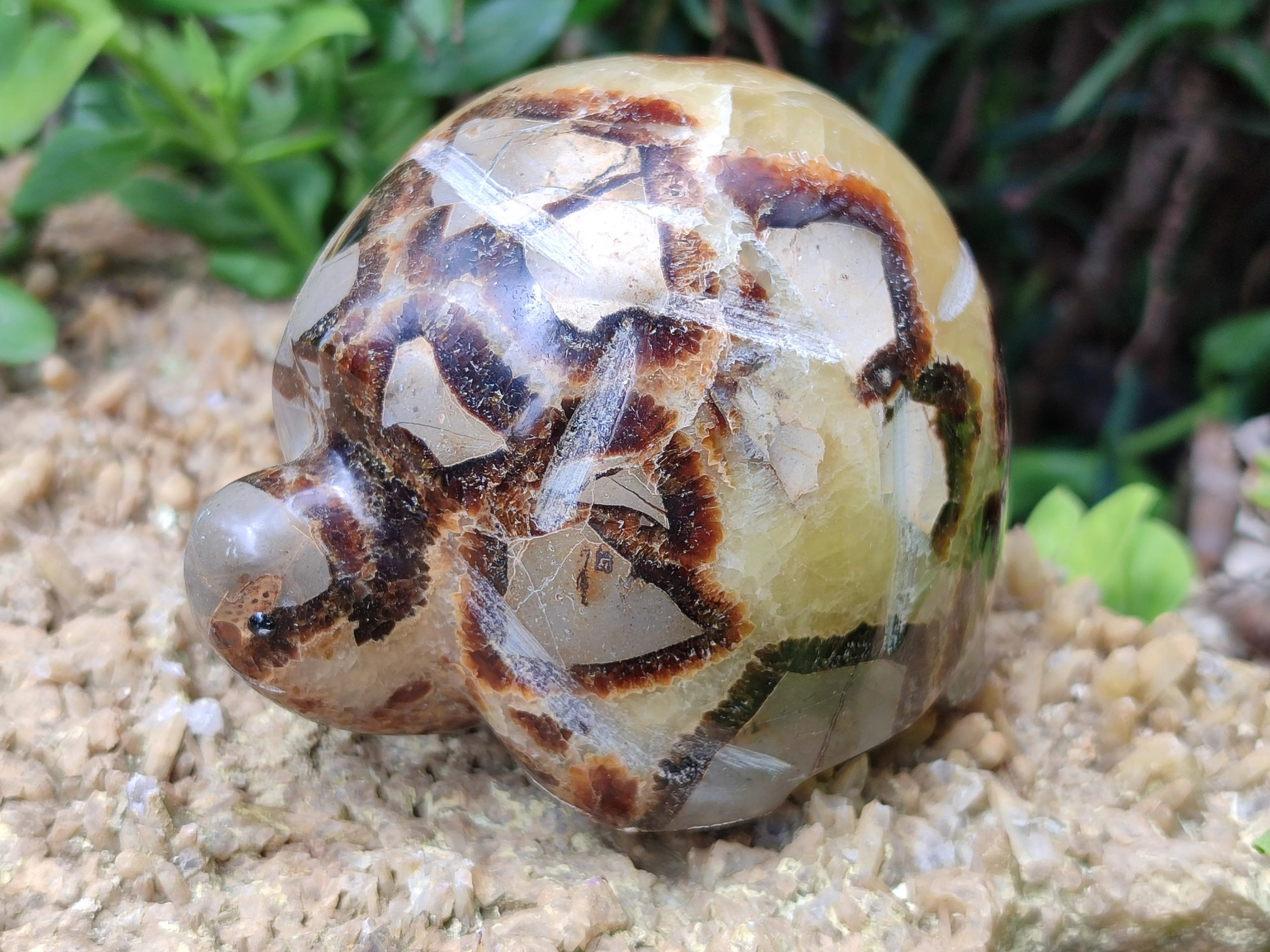 Hand Made Septerye Tortoise Carvings x 4 From Madagascar