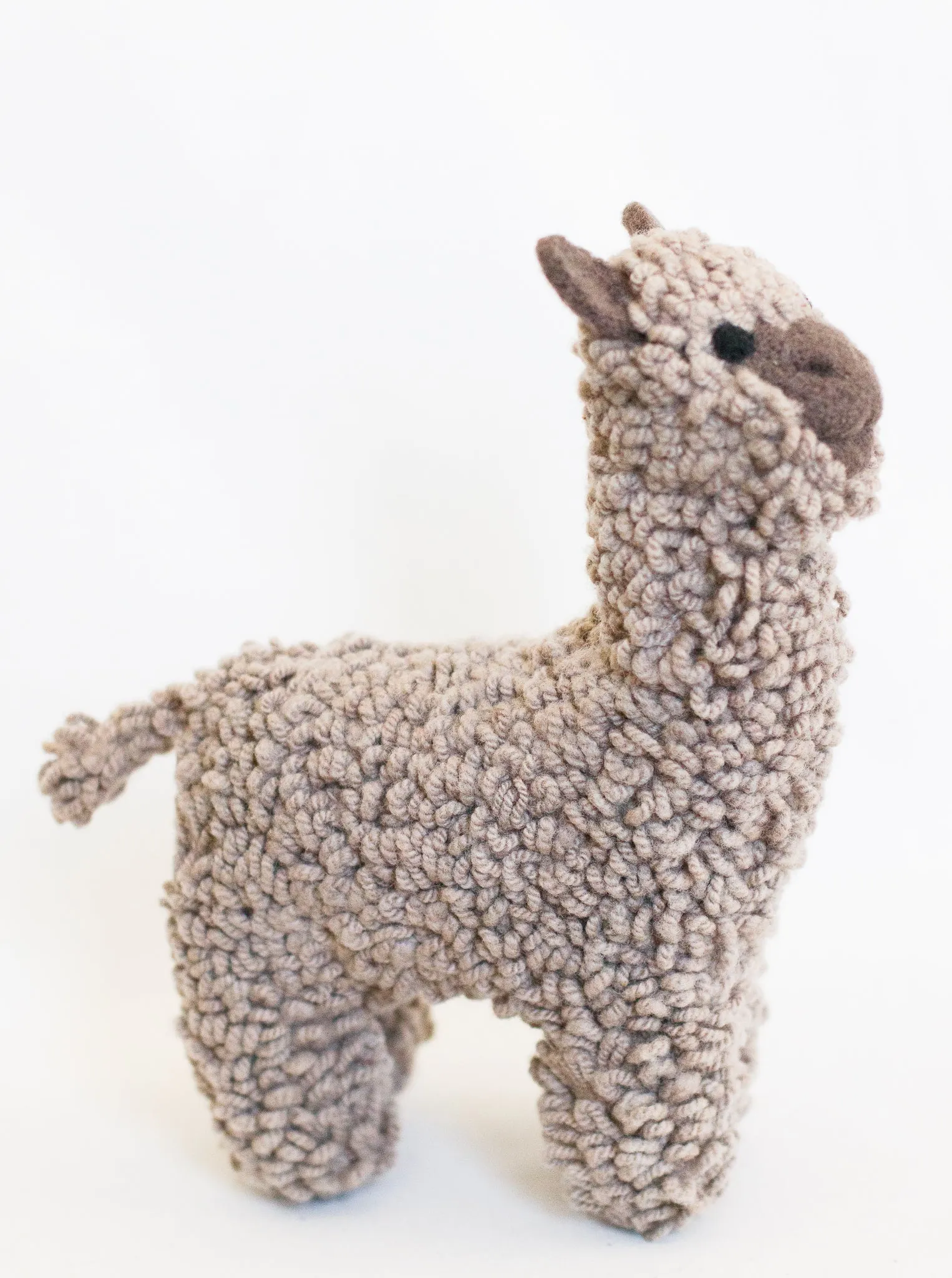 Molly Alpaca