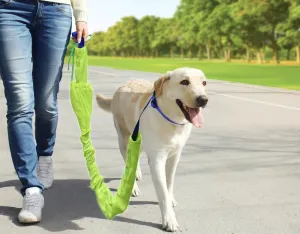 Reflective Dog Leash Set