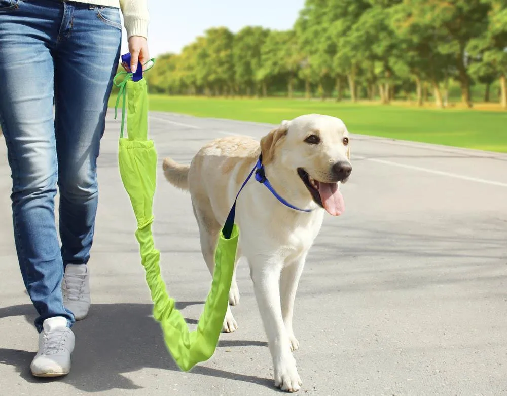 Reflective Dog Leash Set