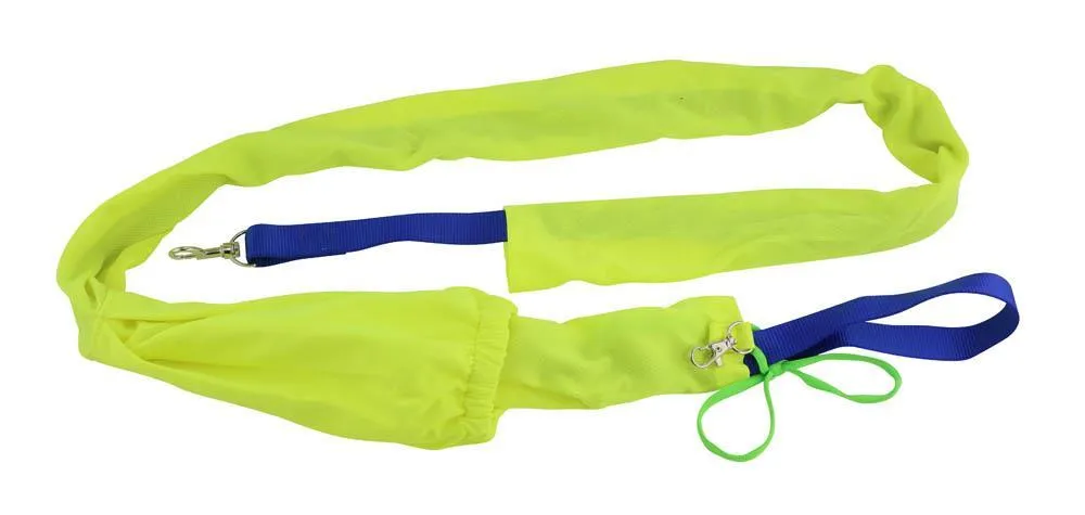 Reflective Dog Leash Set