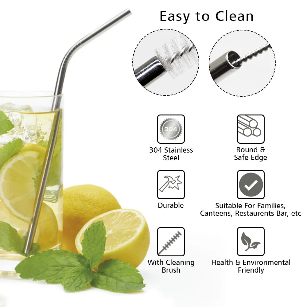 Stainless Steel Straw (2 Straight Straw  2 Bent Straw)